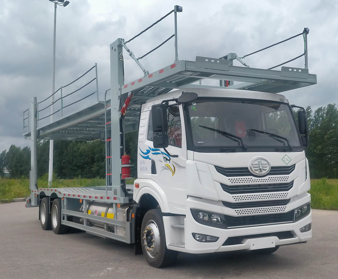 CA5250TCLP1K15L6T1NE6A81