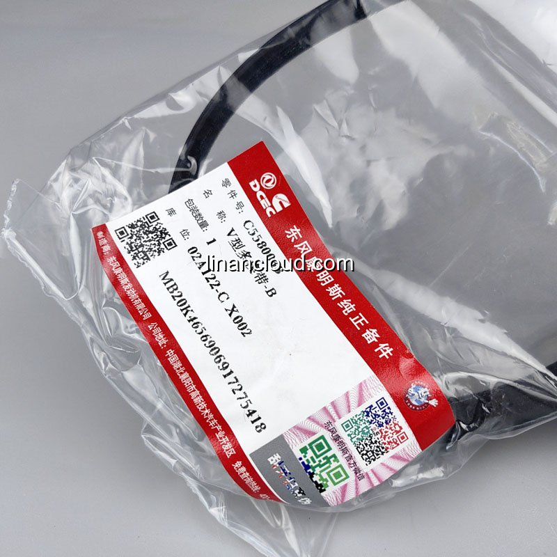 5580038 Cummins Ribbed Belt Image 2