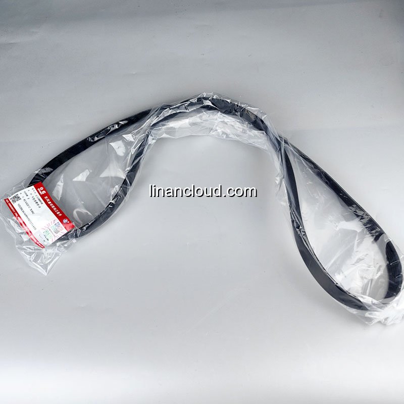 5580038 Cummins Ribbed Belt Image 3