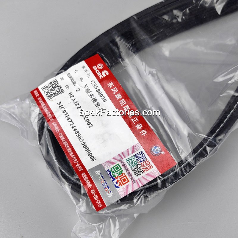 5580036 Cummins Ribbed Belt Image 2