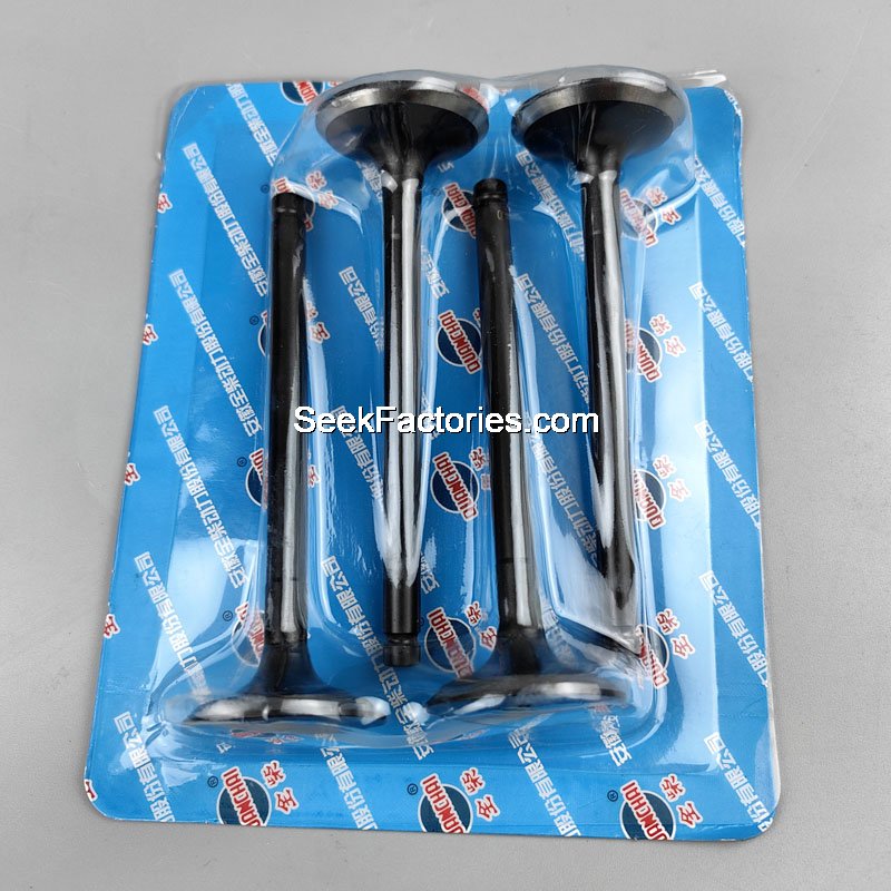 Впускной клапан Captain Dongfeng QCEC Q23