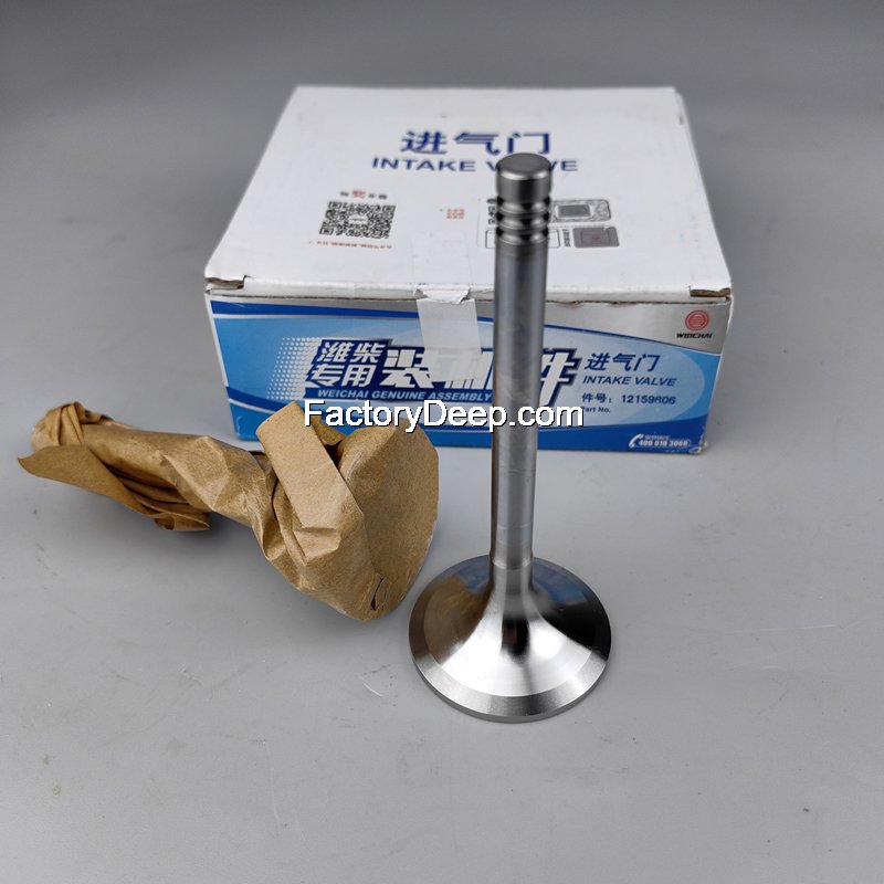 Intake Valve TD226B-6G, WP6