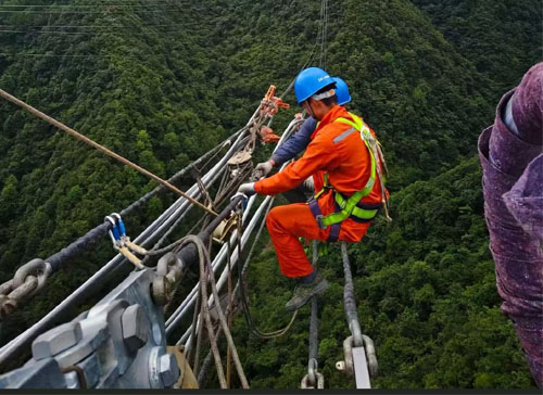 Surge Protector - Hebei Taiwang